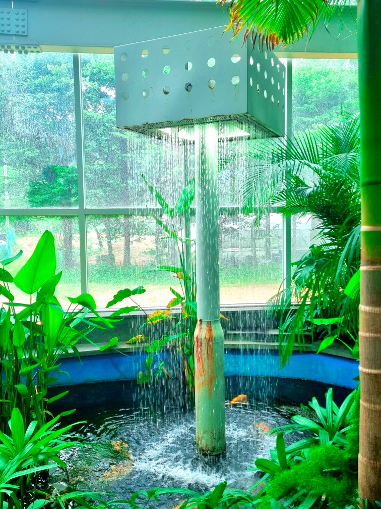 팔방미인 파주 문지리 535 카페 매력 포인트: 드넓은 논밭 뷰와 초록을 담은 실내 식물원 