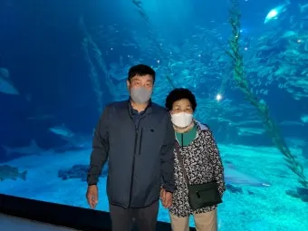제주 아쿠아플라넷 입장료 할인정보 및 볼거리 소개_21