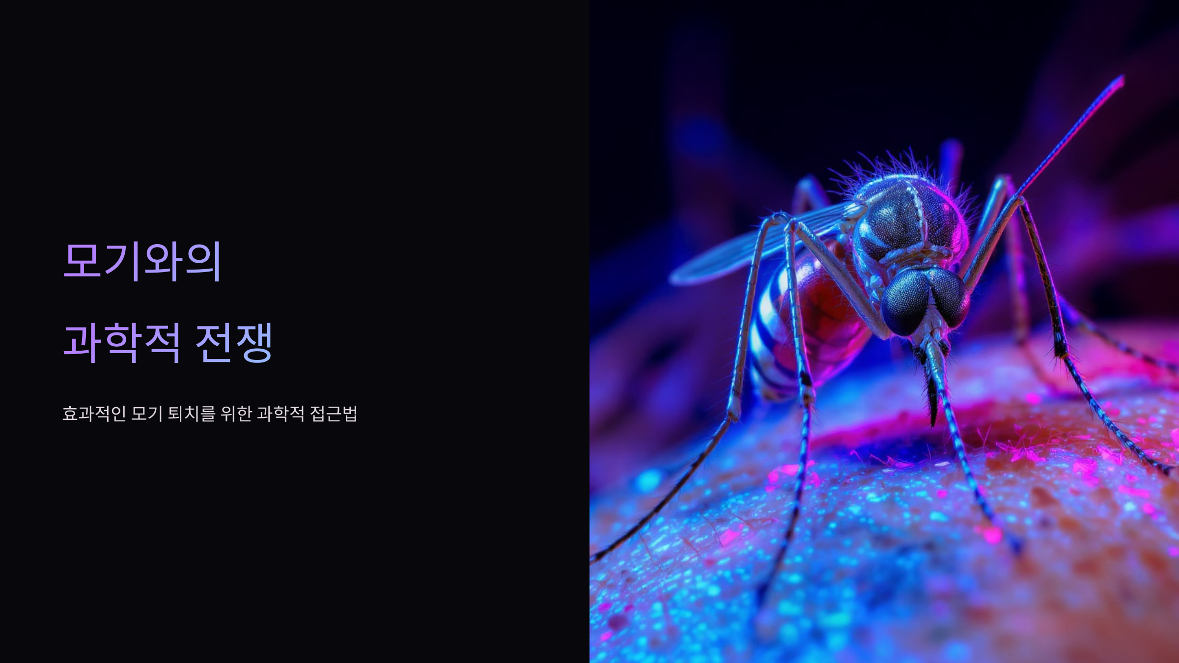 모기와 이별하는 여름밤 프로젝트