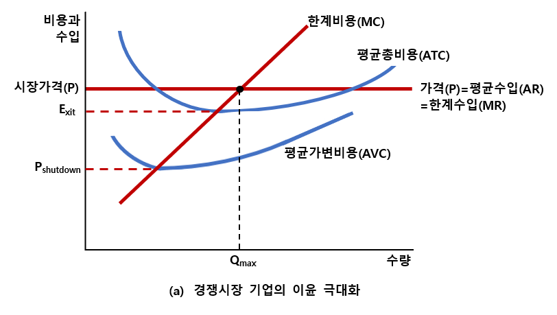 경쟁시장 기업의 이윤 극대화
