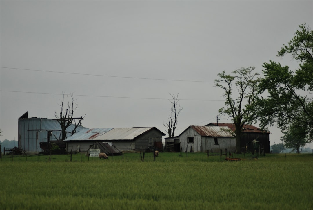 Mokpo