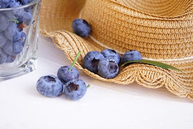 시력 건강에 도움을 주는 블루베리 추출물