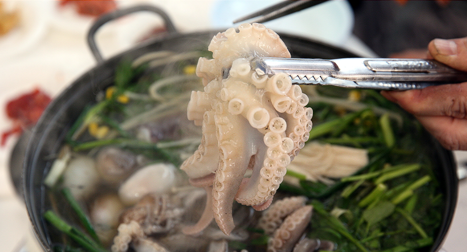 서천 동백꽃 쭈꾸미 축제