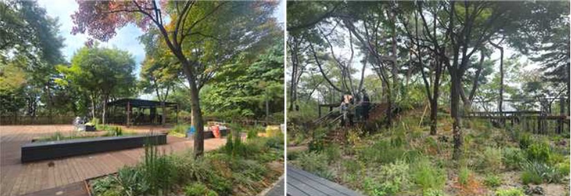 남산 하늘숲길 입구 건강정원