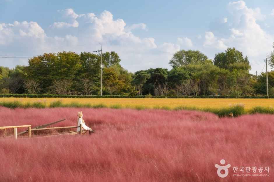 평택 가볼만한곳 베스트10