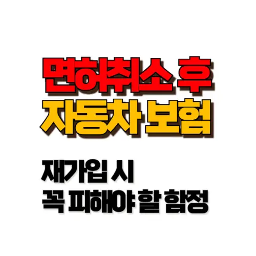 면허취소 후 자동차보험 썸네일