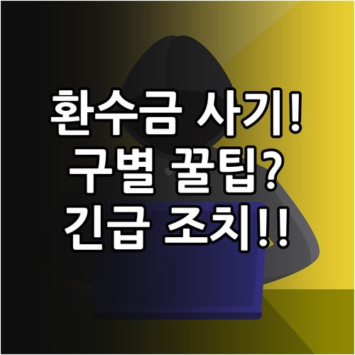 환수 과징금 문자 사기 구별법과 피해..