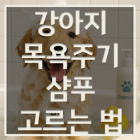 강아지 목욕 주기, 샴푸 고르기