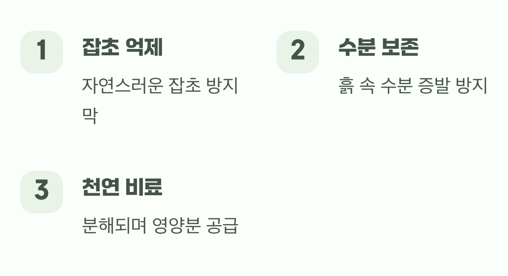 두 번째 해결책: 자연에게 돌려주는 '멀칭'