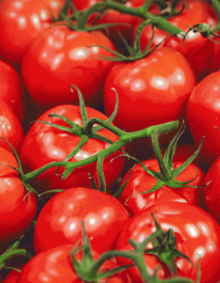 멜라딥도스 재료