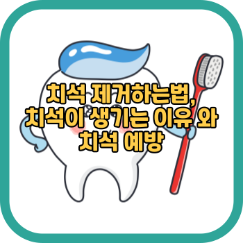 치석 제거하는법, 치석이 생기는 이유 와 치석 예방