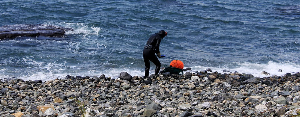 제주도 해안가의 모습