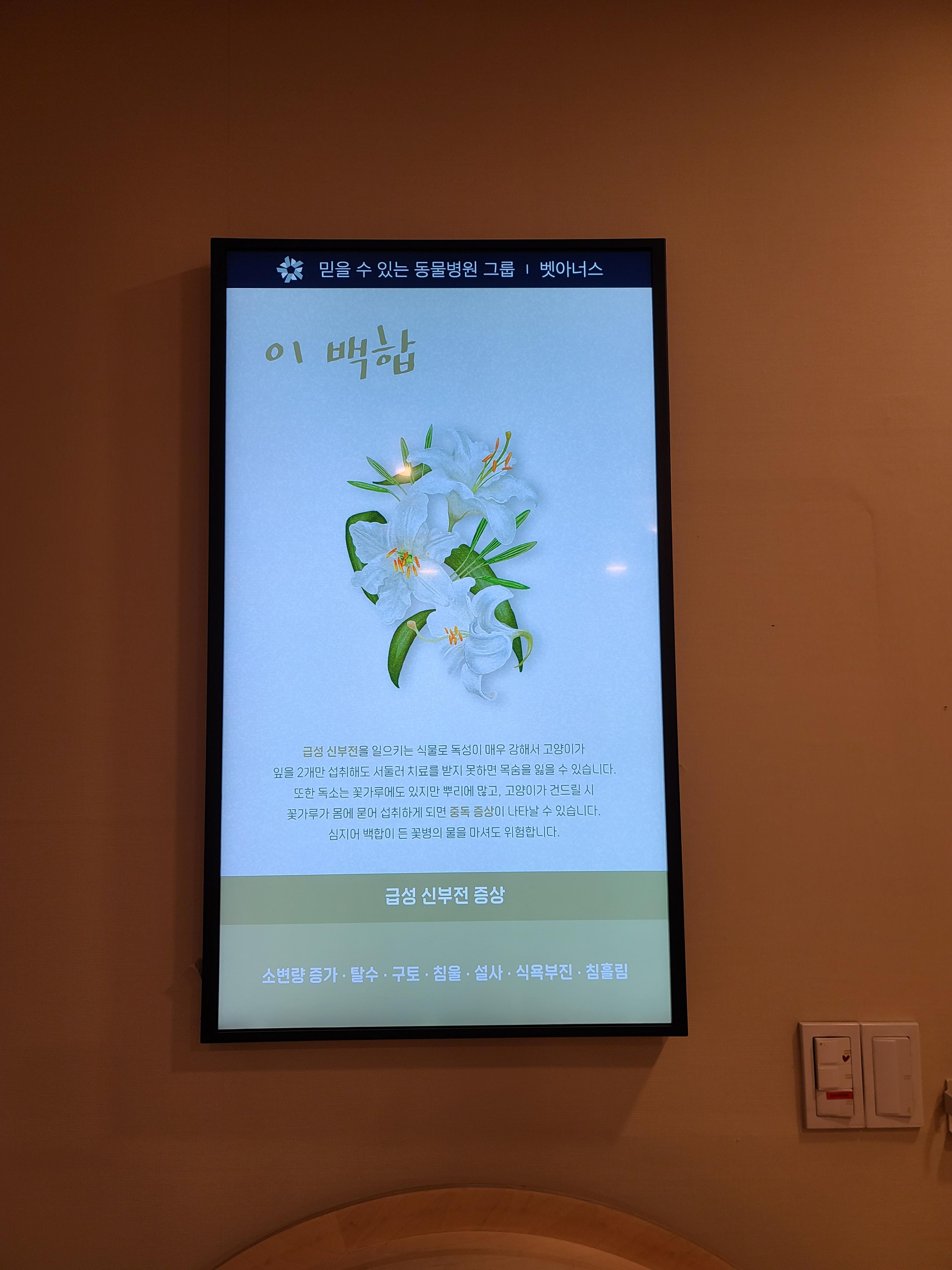 아이들 동물병원 다녀온 썰 & 기록. 스압주의(과잉진료 안하는 병원, 좋은선생님, 내가써본 이동장중 위험한 이동장등)