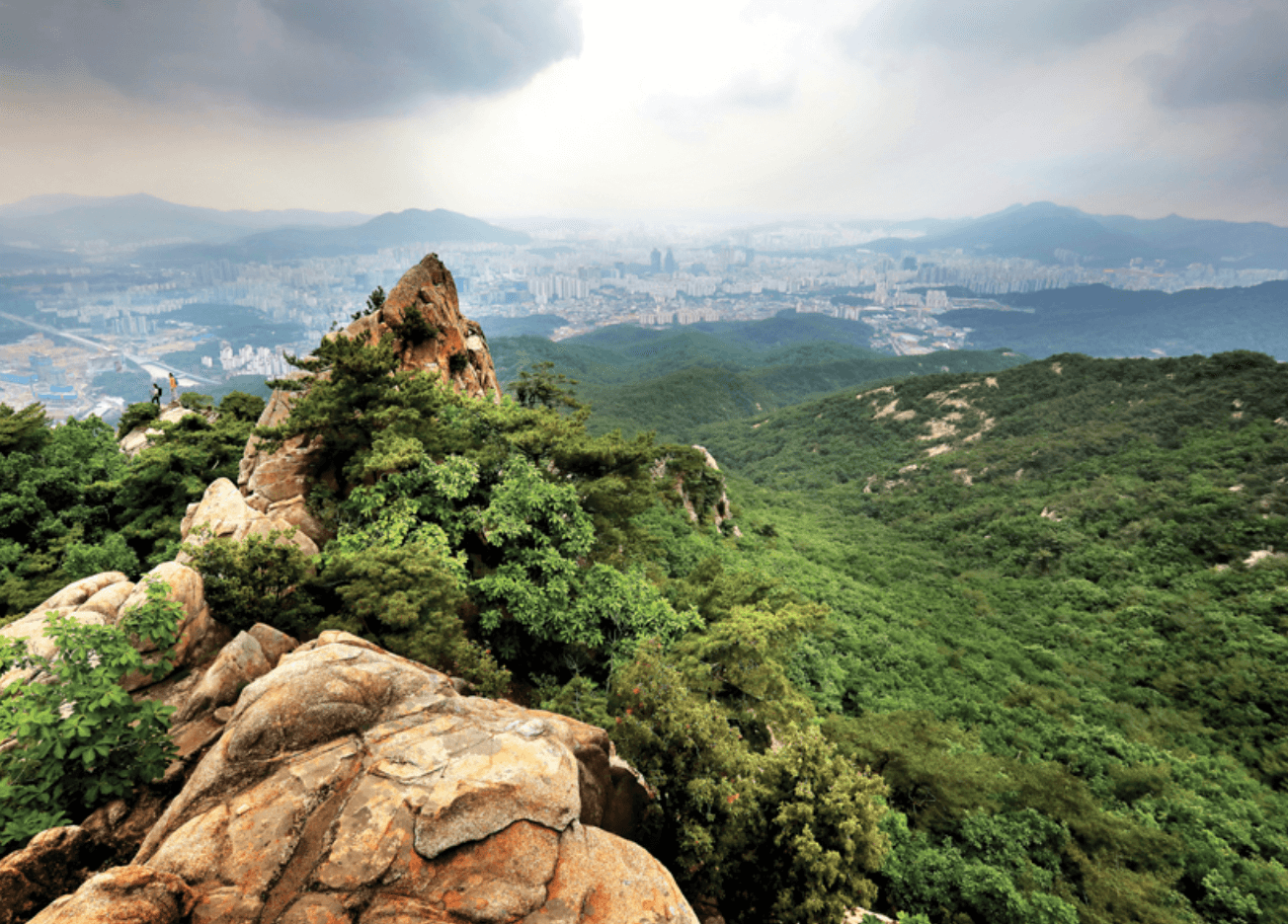 관악산 등산, 서울대 근처 최고의 등산 코스