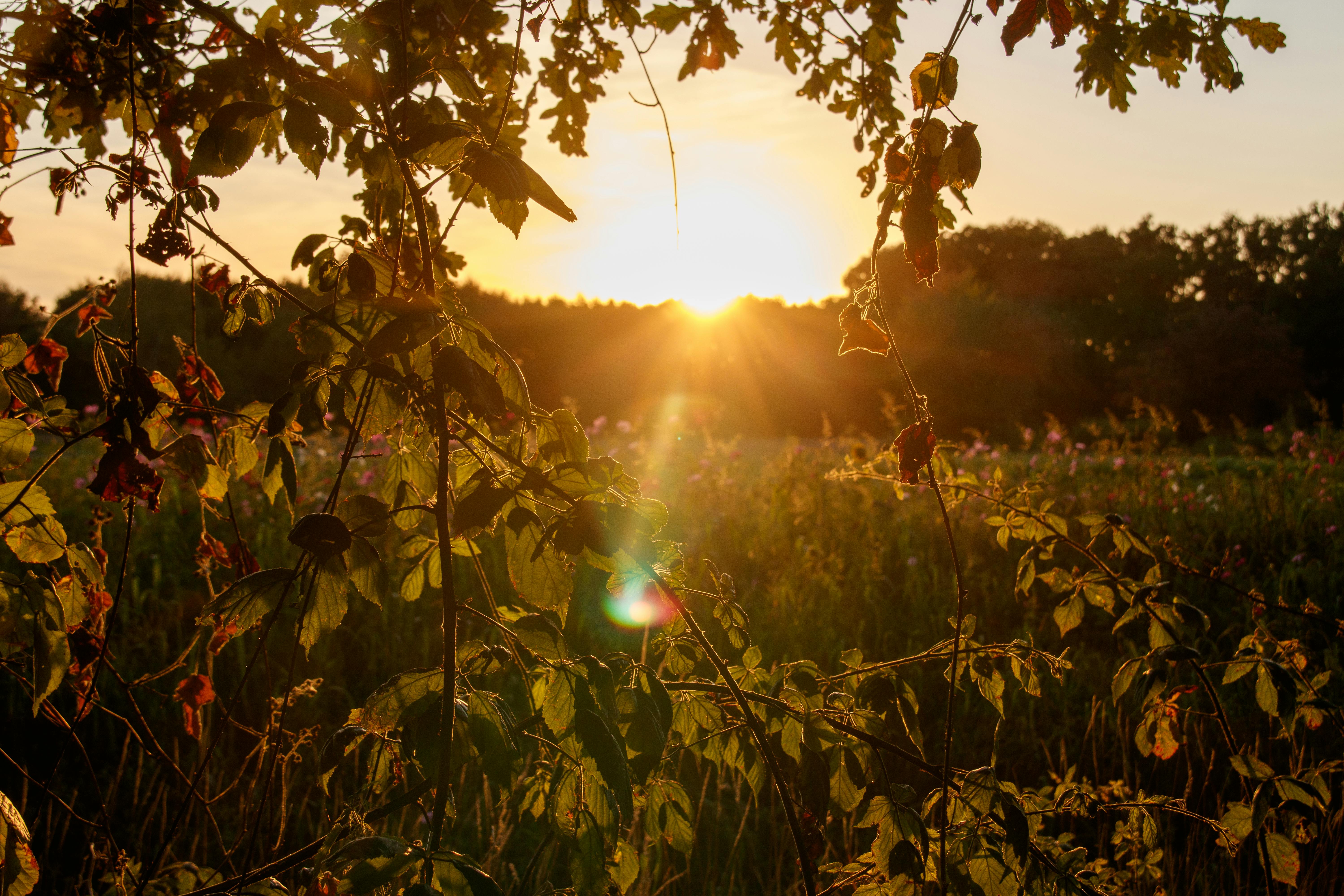 계절별 드라마 이미지