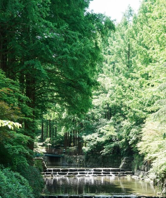 장태산자연휴양림