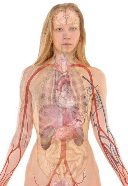 면역력이 떨어졌을 때 아픔을 주는 병. 대상포진 증상&amp;#44; 치료법&amp;#44; 예방법