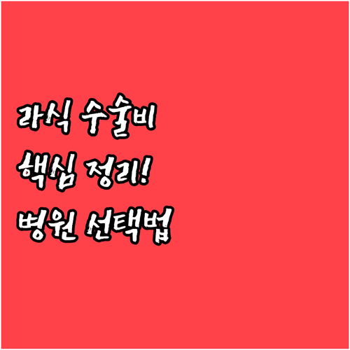 스마일라식 수술비 산정 기준과 병원 ..