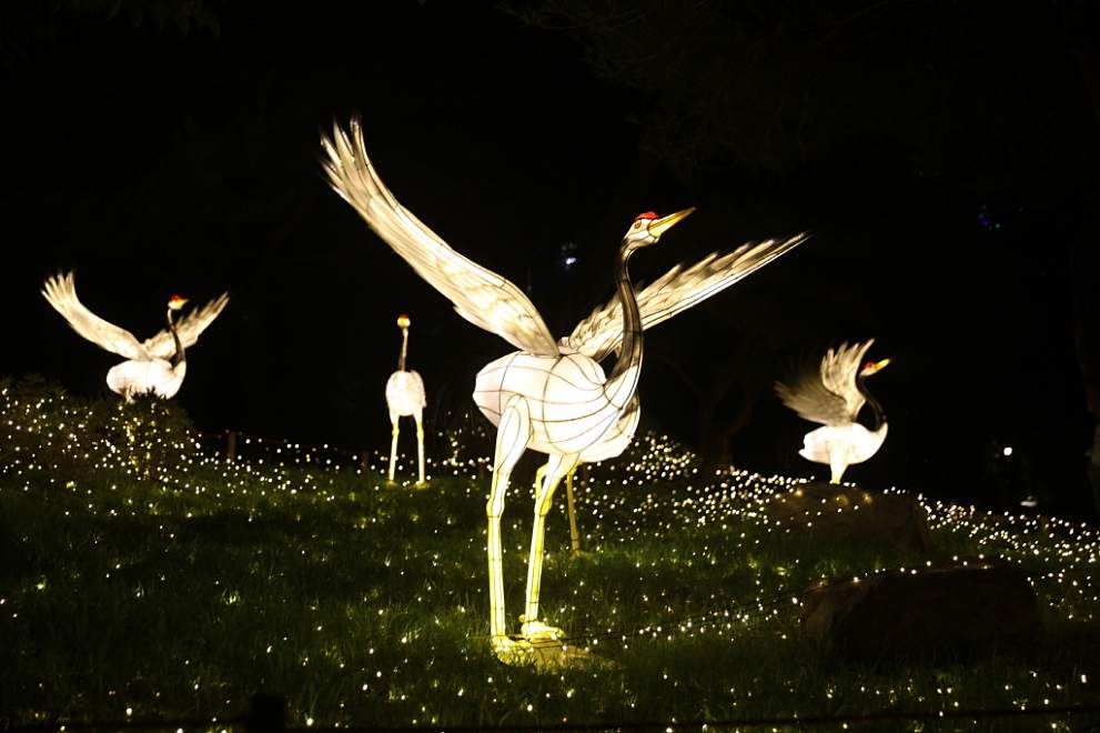 부여서동연꽃축제 기본정보