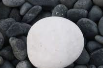 ESFJ 유형 특징 분석