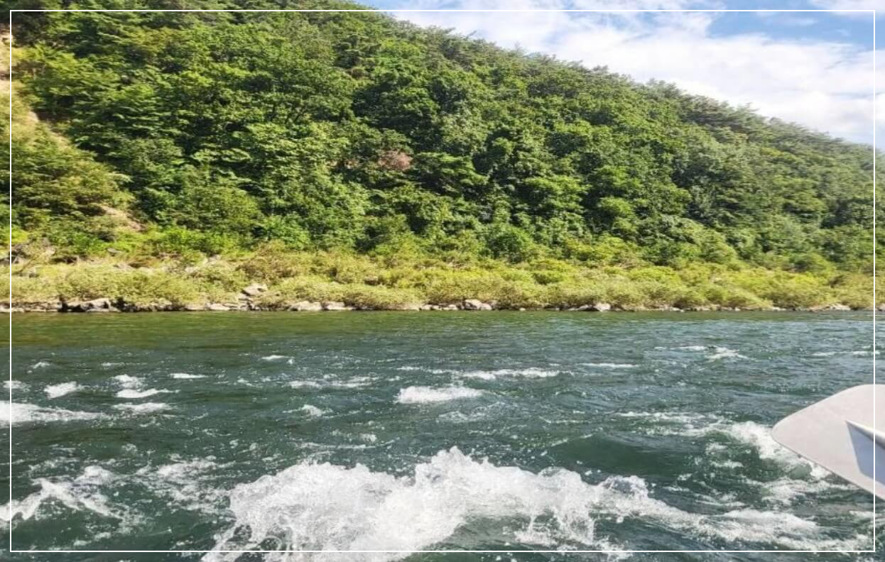 영월 가볼만한곳 베스트10 동강 래프팅