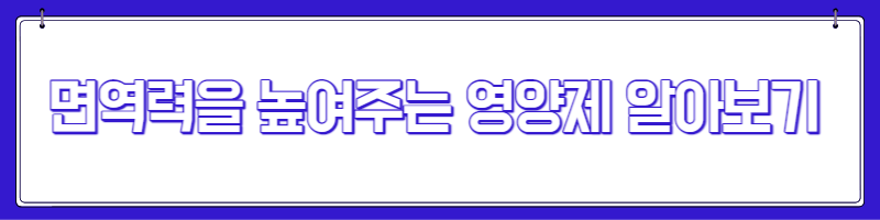 종합 비타민 효능 복용시간 부작용