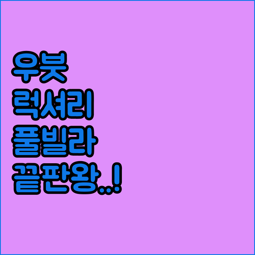 우붓 풀빌라 추천 포시즌스부터 아만다..