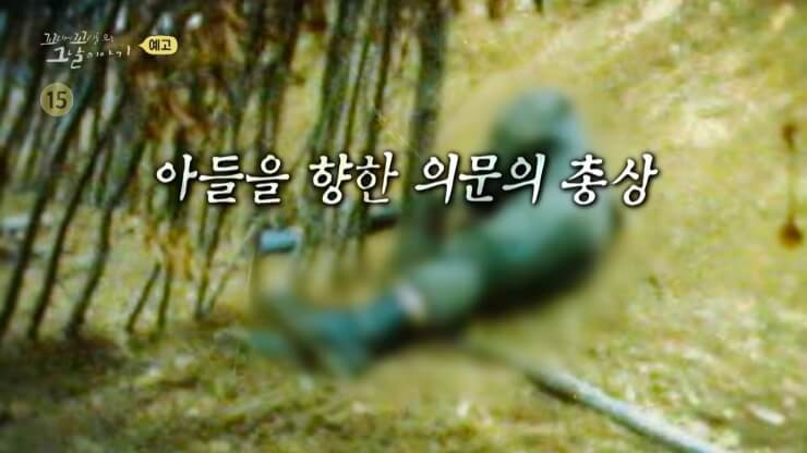 허일병 사망 사건 미국 전문가 및 진상조사단 의견