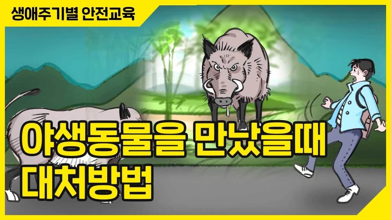 야생 멧돼지 안전대책