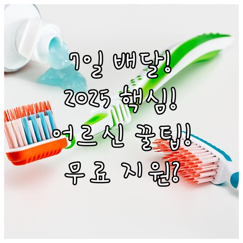 무료급식 주 7회 배달 2025 어르..