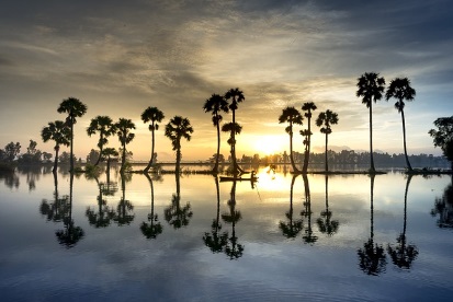 영농 경력 5년 쉽게 하는 법: 농지연금