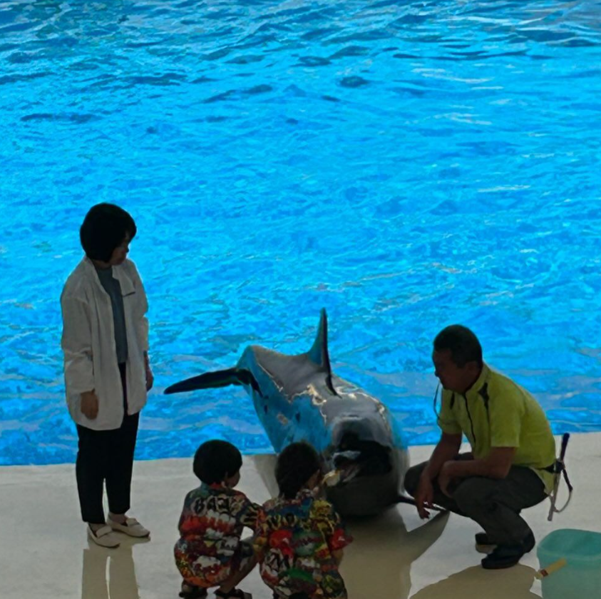 마린월드 우미노나카미치 01