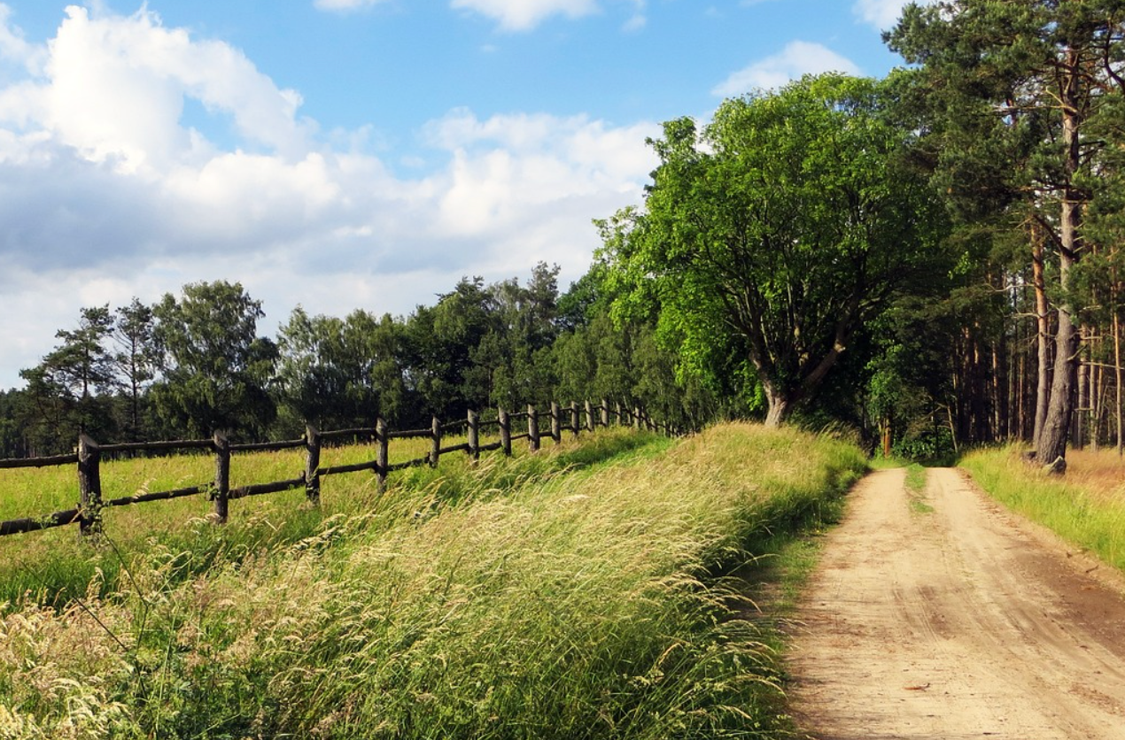 비타민D-흡수율-향상을-위한-산책-3