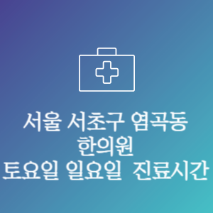 서울 서초구 염곡동 한의원 주말 토요일 일요일 문여는 병원 진료시간