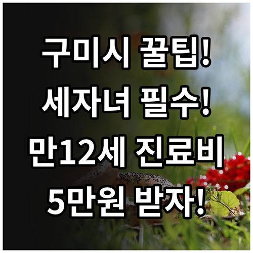 구미시 2025 세자녀 가정 만 12..