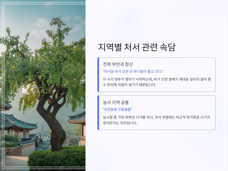 24절기-처서-9_