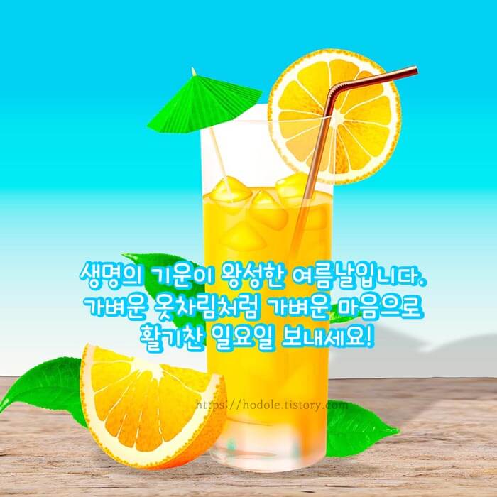 오렌지 쥬스 이미지