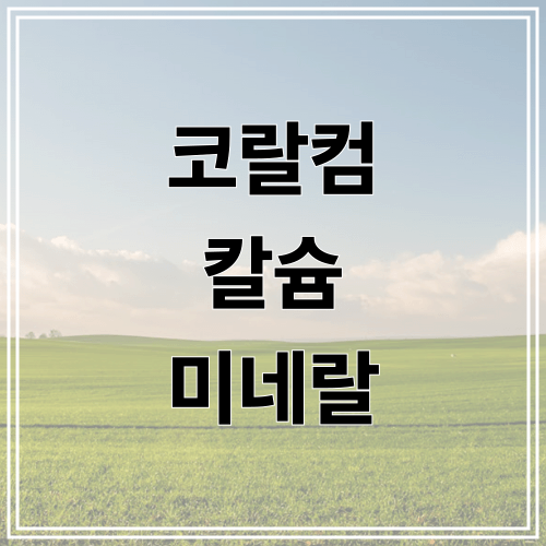 코랄컴 칼슘 미네랄