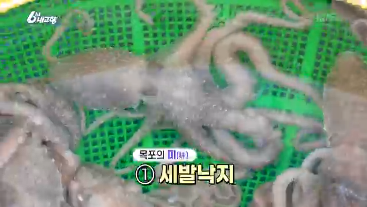 6시내고향(K맛있을지도)