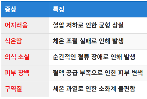 대표적인 증상