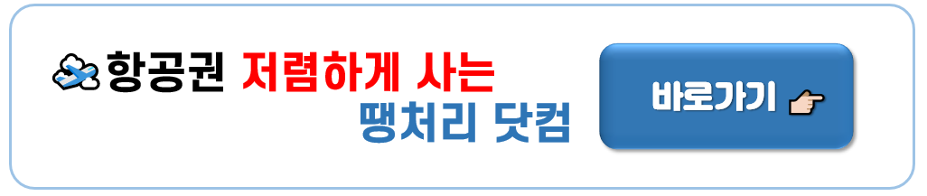 항공권 싸게 구입하는 방법_(땡처리 항공권 구매)