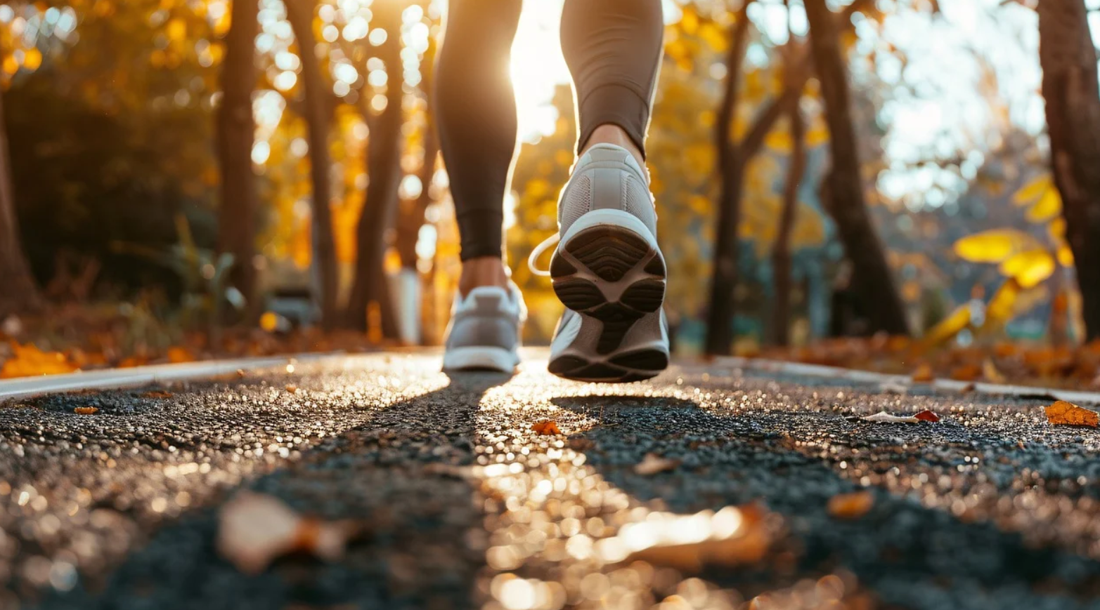 돈만 벌고 떠나는 여행이 아닌, 의미 있는 디지털 노마드 라이프 구축법
