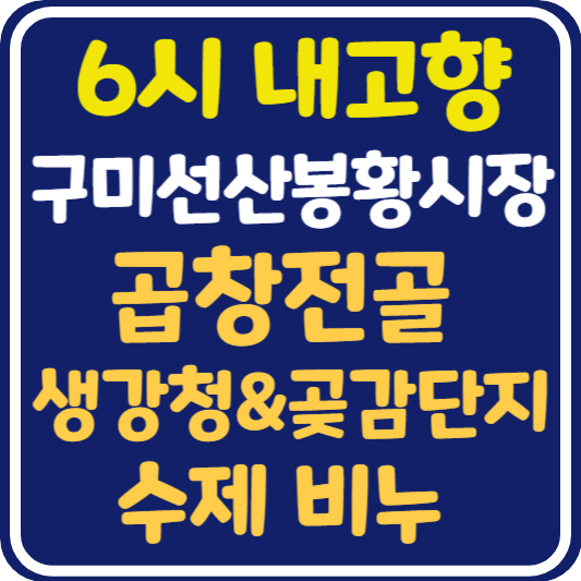 6시 내고향 구미선산봉황시장 곱창전골, 생강청&amp;곶감단지, 수제 비누 가게 위치 및 택배 주문 방법