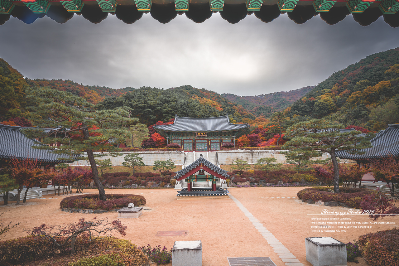 #충주 #석종사 #불교 #사찰 #가을 #단풍