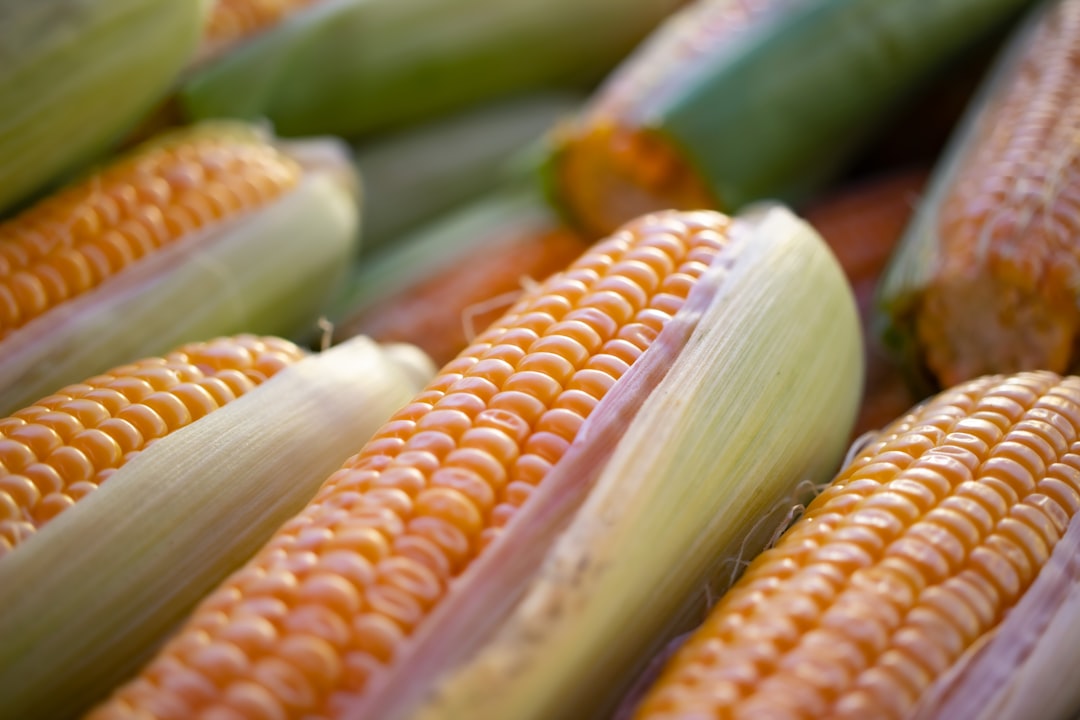 Corn