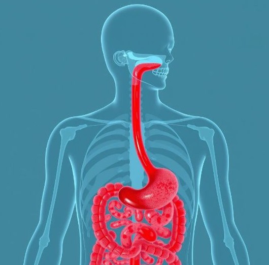 위장관 출혈 증상