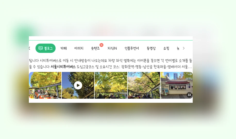 서울시티투어버스_1_subsection