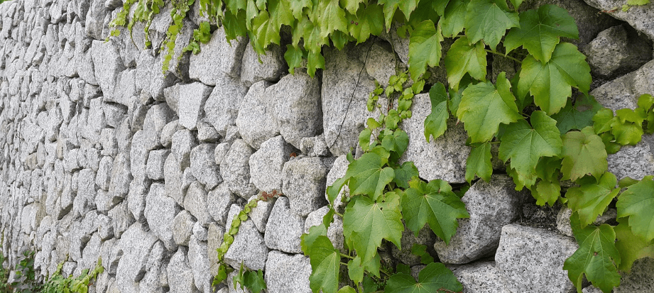 덕수궁 야간개장