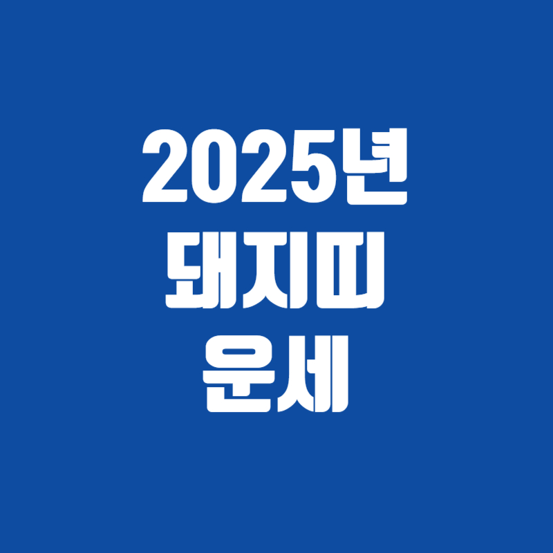 2025년 돼지띠 운세