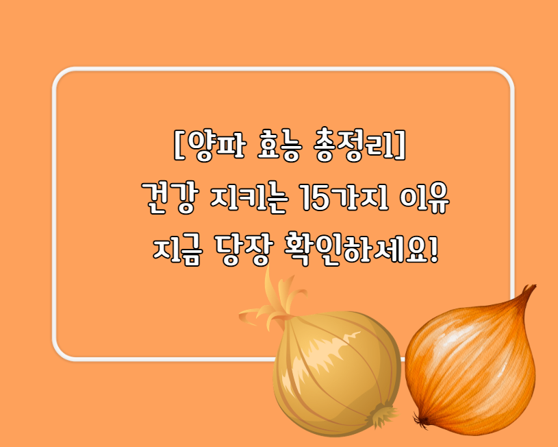 양파의 주요 효능 총정리